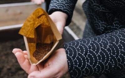 Saatgut gewinnen und Sorten erhalten